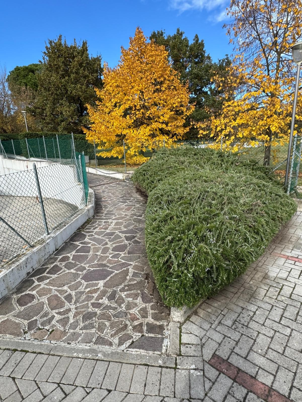 Images Arborium Garden di Samuele Leonelli