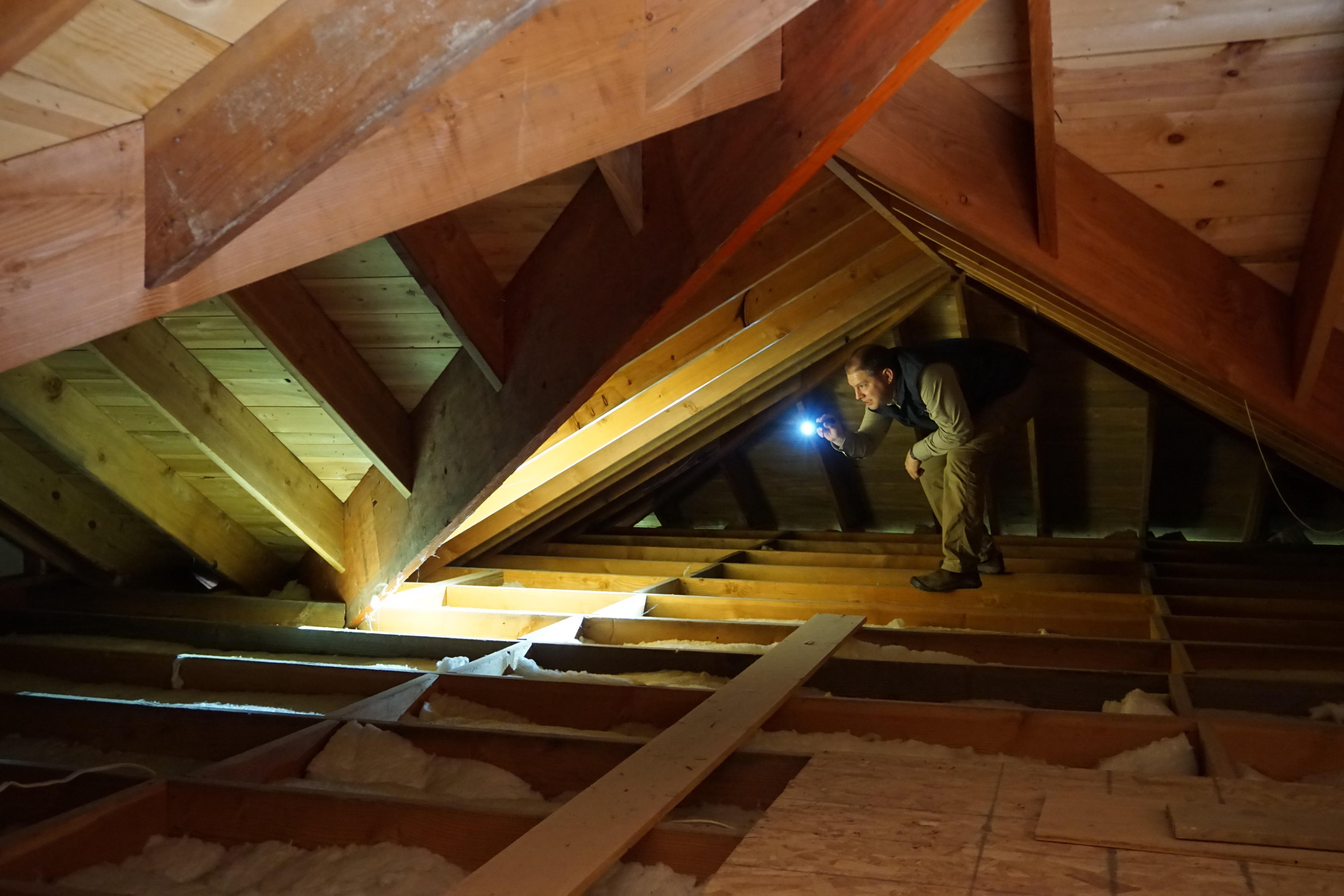 Inspecting the attic on a home inspection