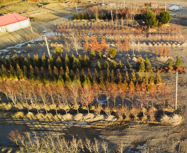 Images Visterra Landscape Group