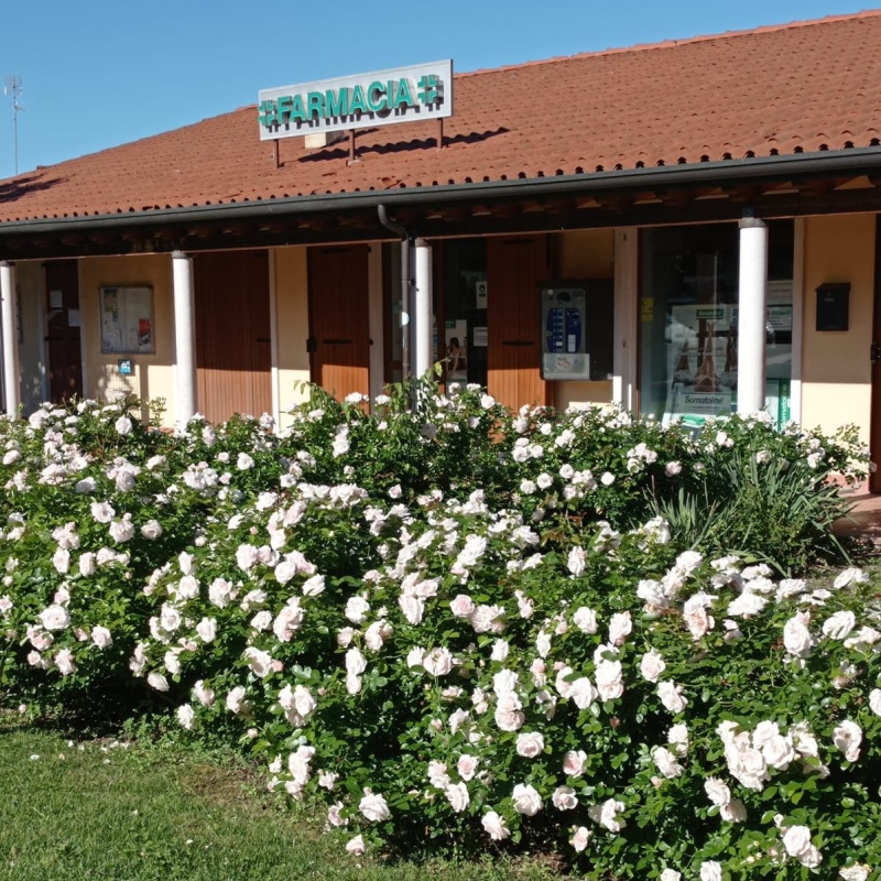 Images Farmacia San Giorgio in Salici