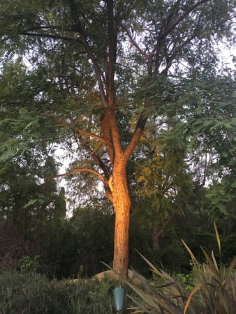 Images Swift Electric