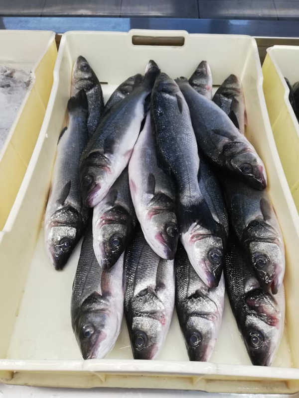 Images Pescheria El Pescado