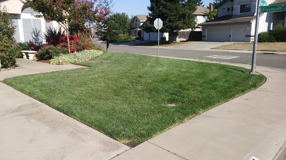 Sit back and relax while 5 Star Gardening takes care of your residential lawn mowing needs. Our experienced team uses professional-grade equipment to ensure precise and efficient mowing, leaving your lawn looking neat and tidy every time.