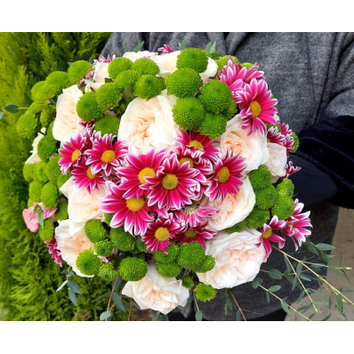 Images Fioreria del Viale Santamaria