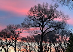 Mogote Meadow Cabins & RV Park Image