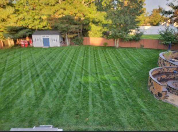Images 4everGreen Turf Management