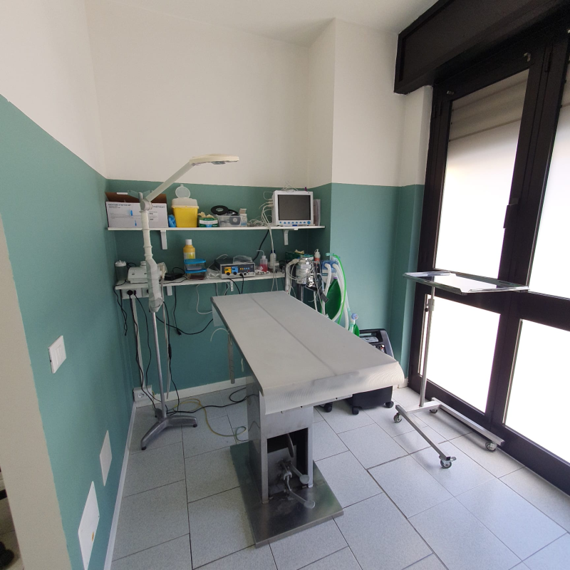 Images Ambulatorio Veterinario Arte Medica - d.ssa Conti Federica