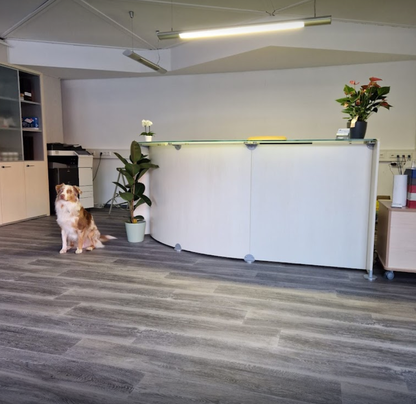 Deutsches Maklerforum AG // Team-Dewein.de - Ihr Versicherungsmakler, Riedgartenweg 15 in Bayern - Elchingen