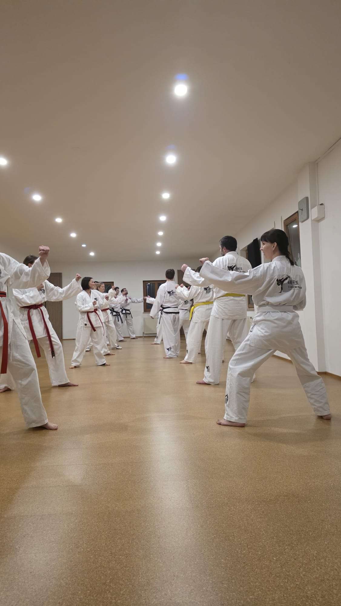 Taekwondo Peter Ivenz - Aichach, Prieferstraße 42 in Aichach