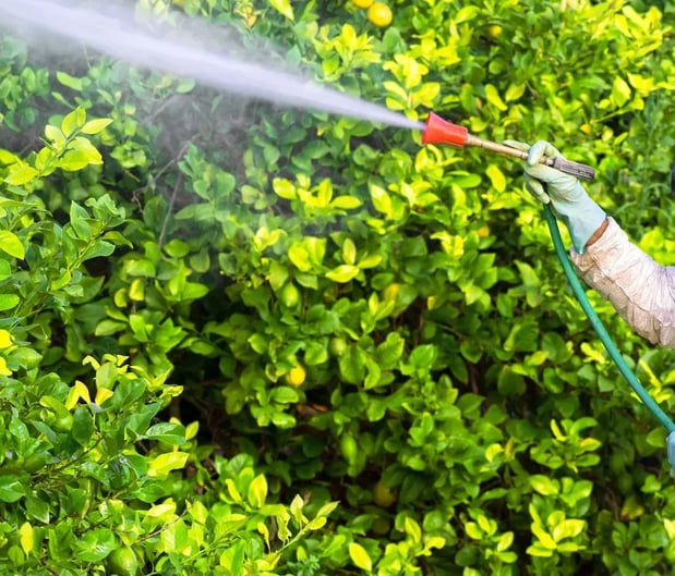 Images Safe Haven Pest Control