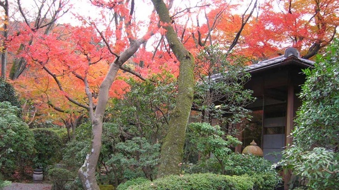 Images 逢坂山かねよ 本店