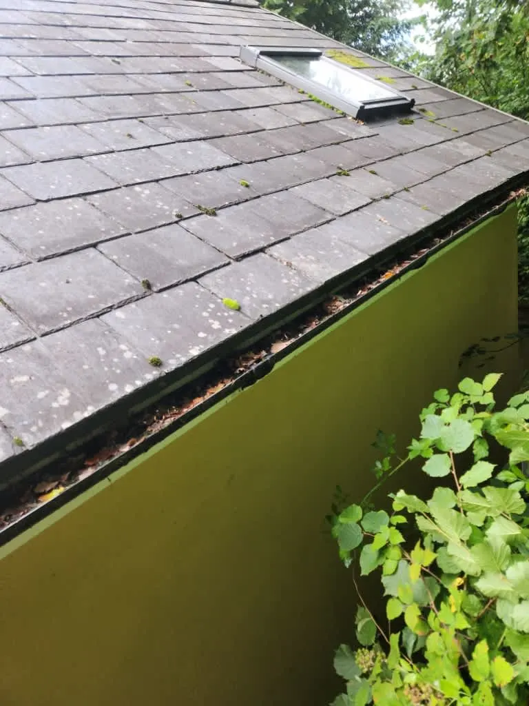 Images Master Moves Man & Van