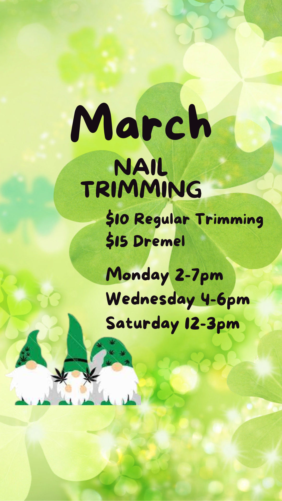 Pet Food Supply Store Pet Supplies 'N' More In Muskego, Wisconsin