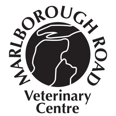 Marlborough Road Veterinary Centre - Cardiff, South Glamorgan CF23 5BX - 02920 491235 | ShowMeLocal.com