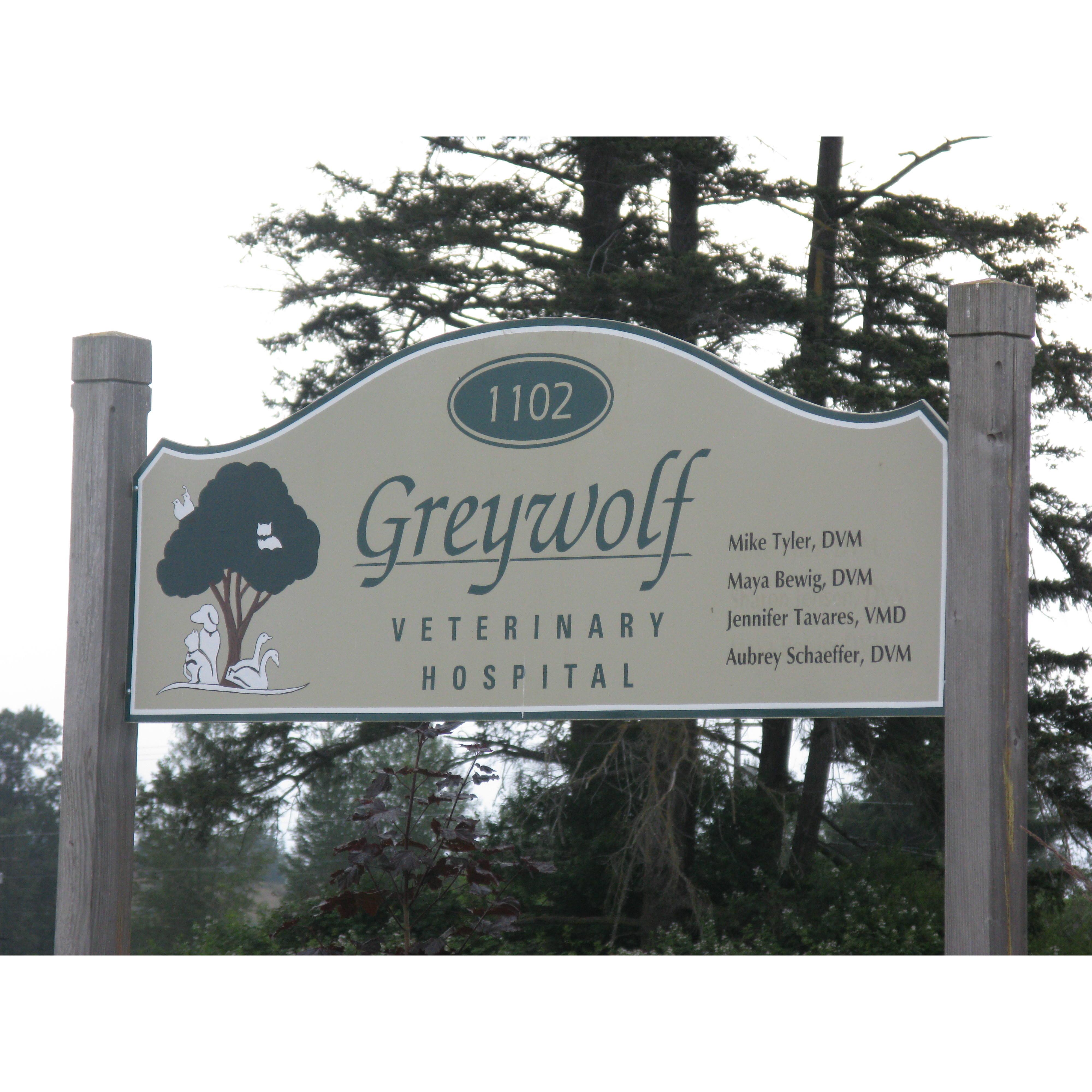 Greywolf Vet Hospital