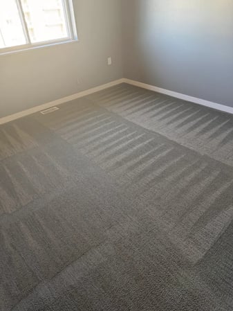 Images Aqua Green Carpet Clean LLC