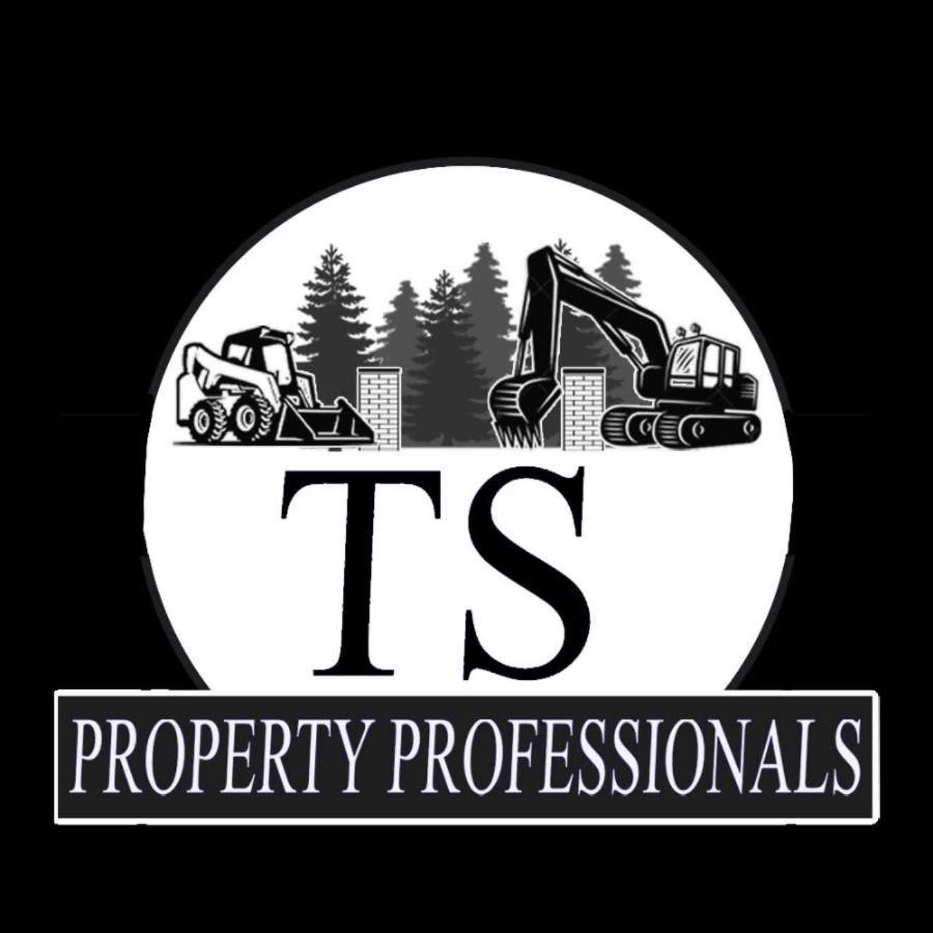 TS Property Professionals Logo