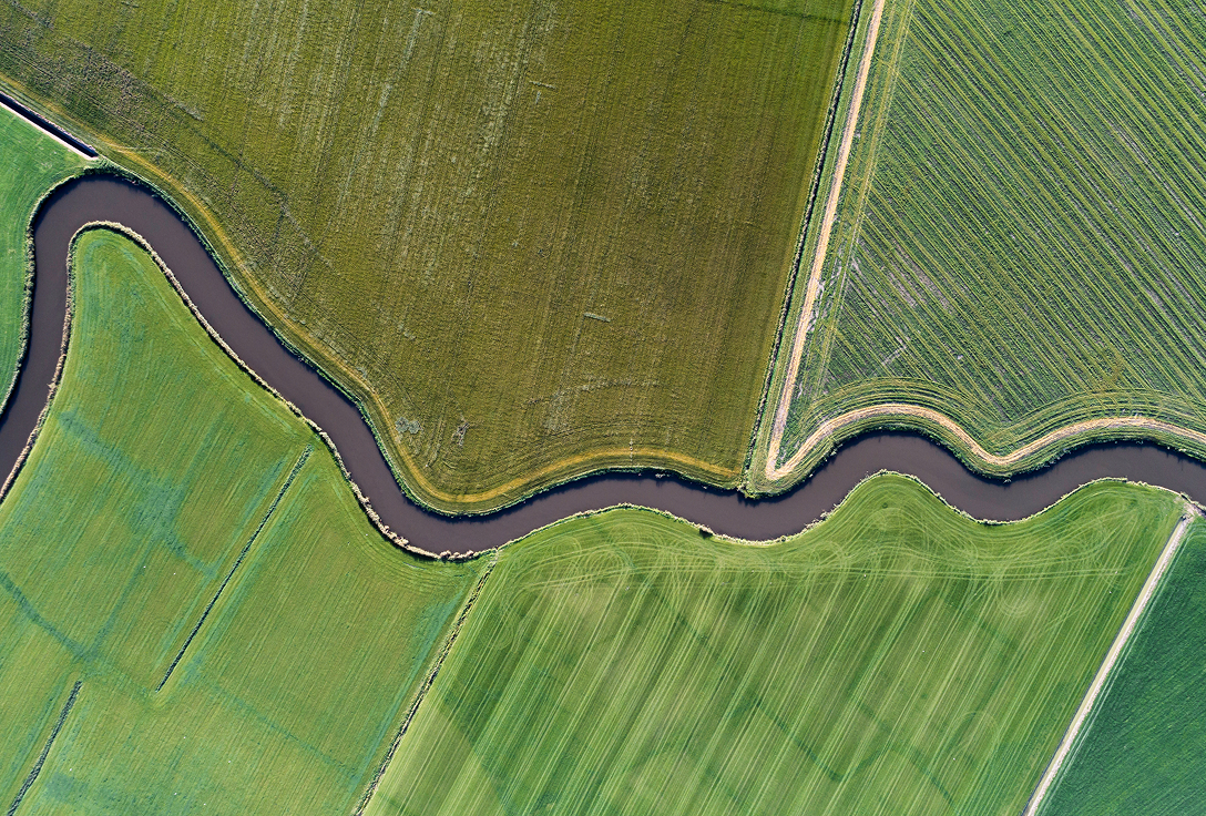Aerial view of lush green fields divided by a winding river. The fields contrast in shades of green, creating a serene and picturesque landscape.