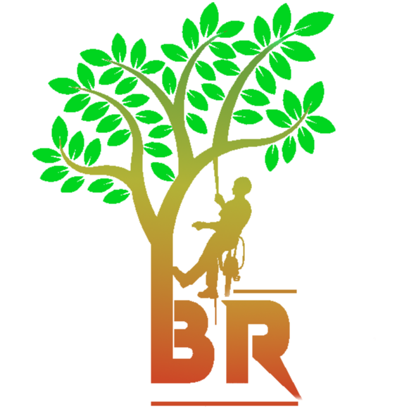 Baumdienst Renner Logo