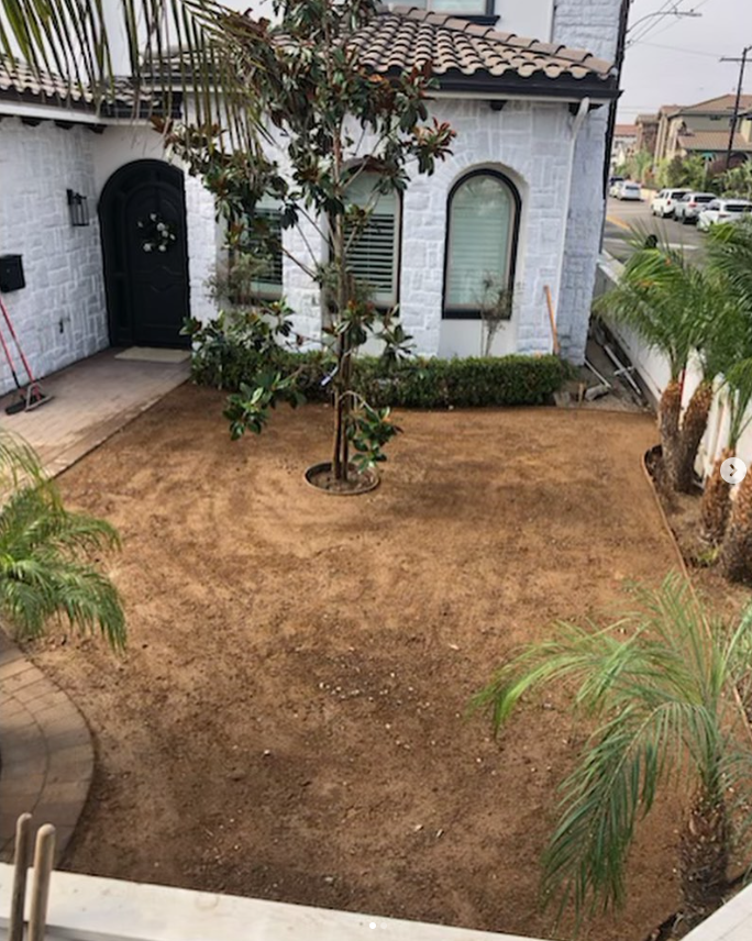 Tavite's Tree Service Inc. Image