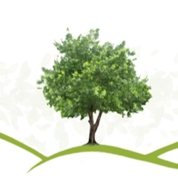 BE Gartenbau München  