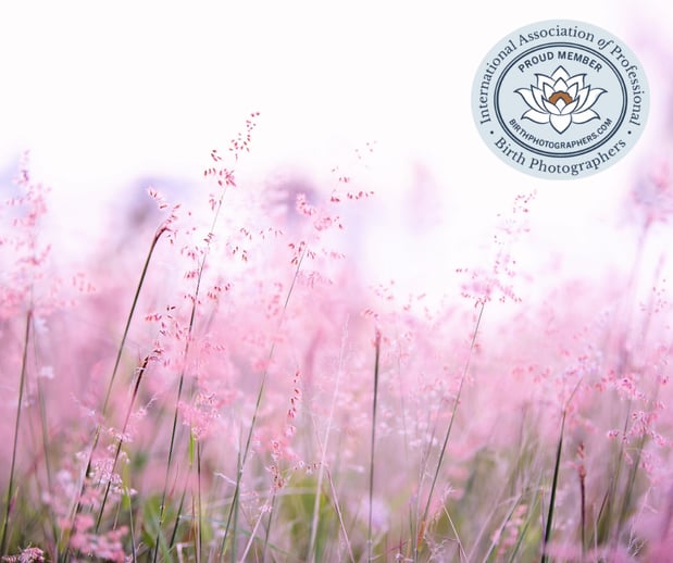 Images A Joy Story Photography