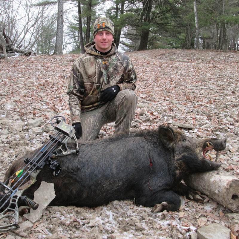 Images Tioga Boar Hunting