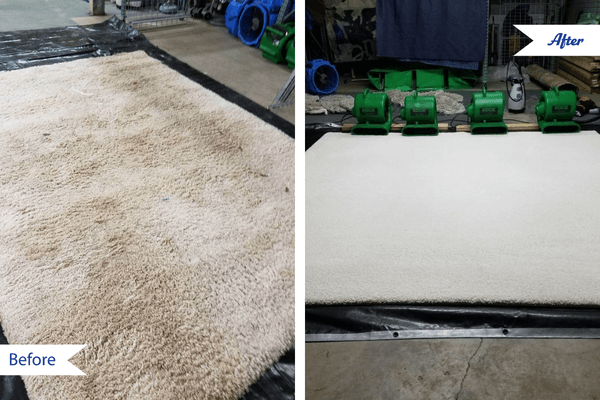 area rug cleaning in rochester, ny