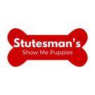 Stutesman's Show Me Puppies
