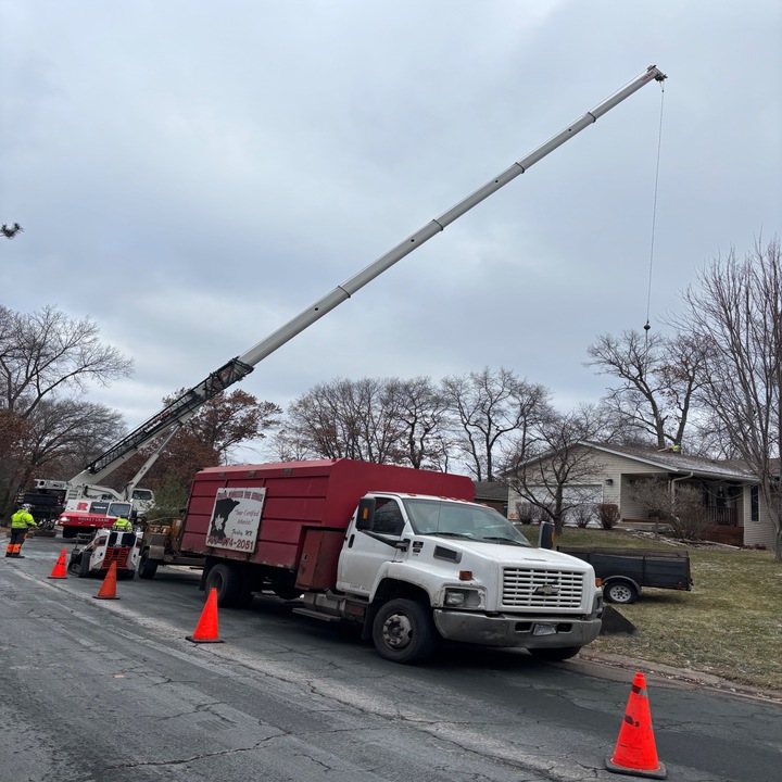 Images Central MN Tree Service