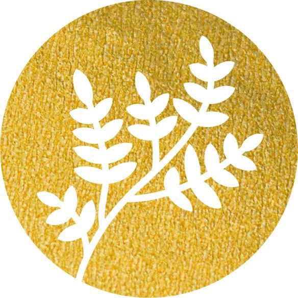 Bar Botanik in Köln - Logo