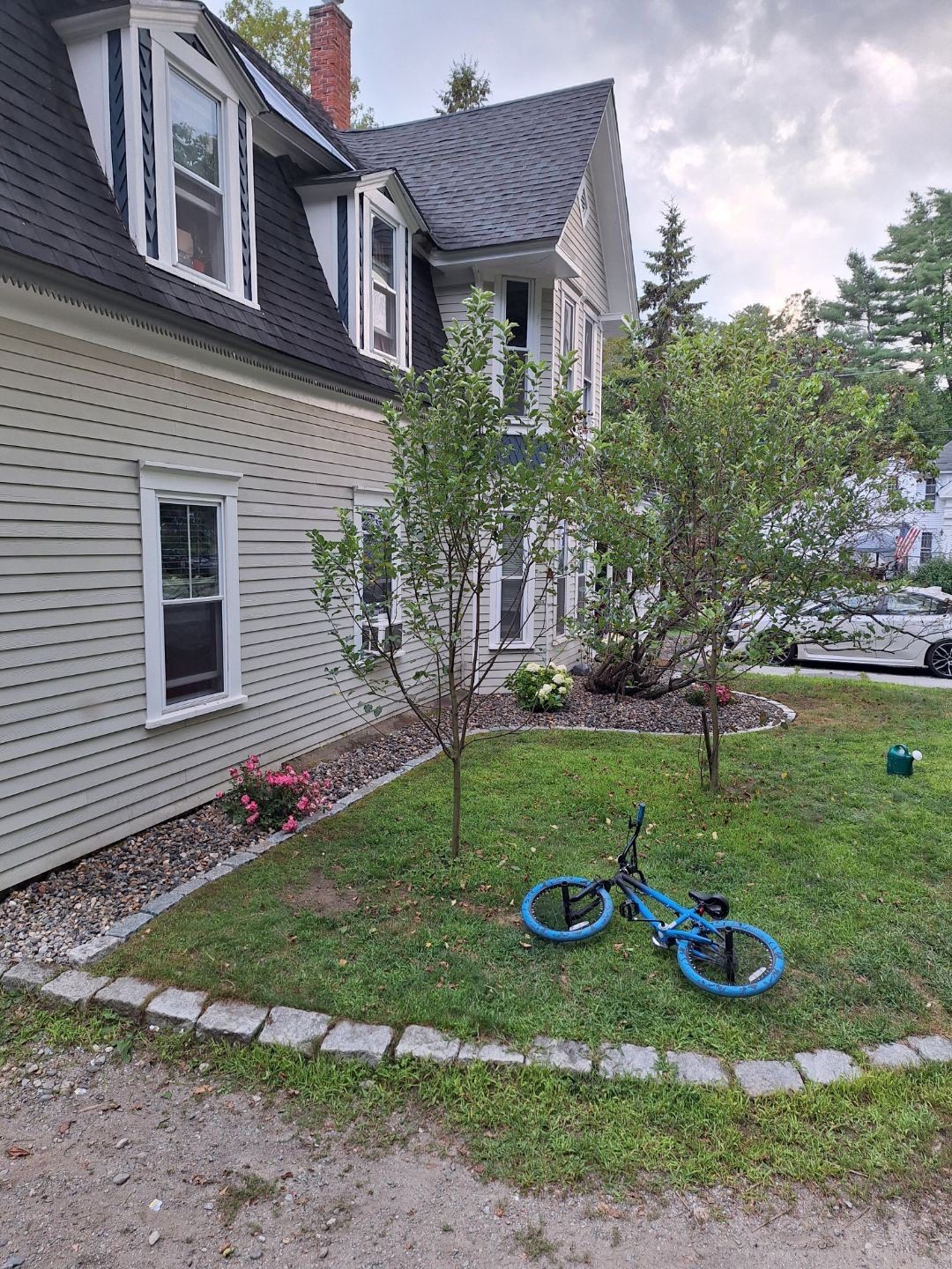 Willett's Forest and Property Maintenance LLC Image