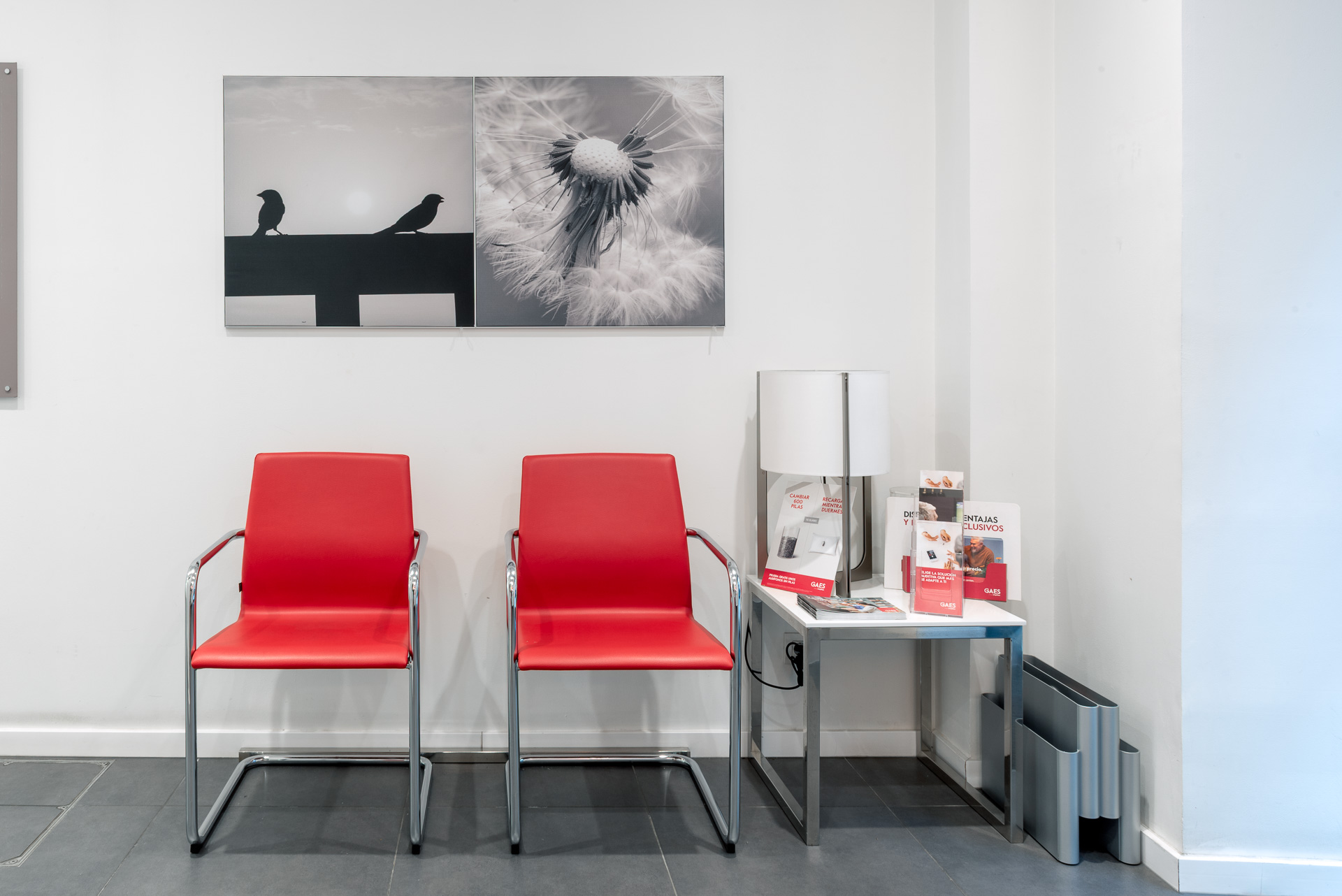 Galería en miniatura