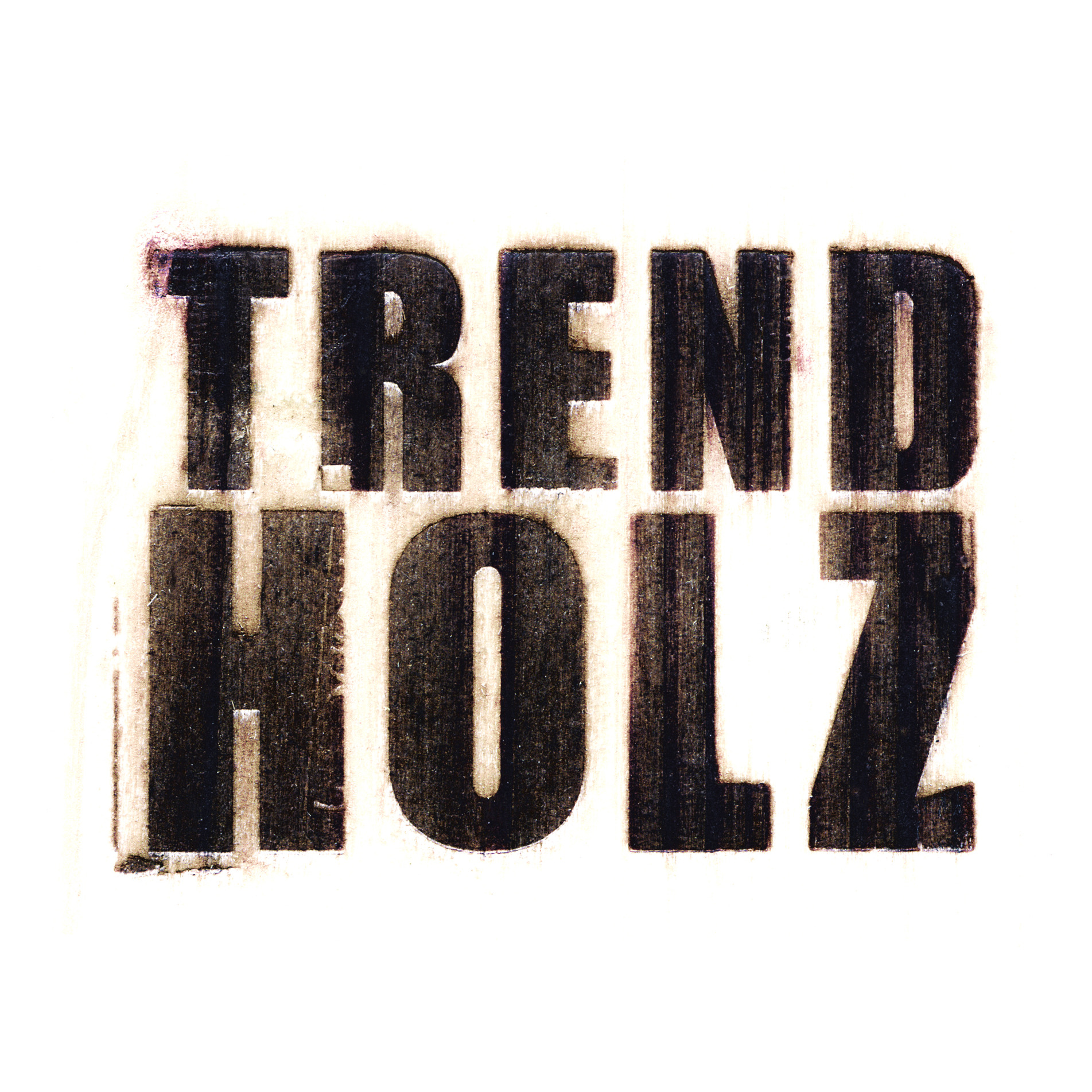 TrendHolz Holzhandels-GmbH Logo