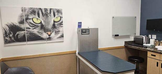 Images VCA Santa Margarita Animal Hospital