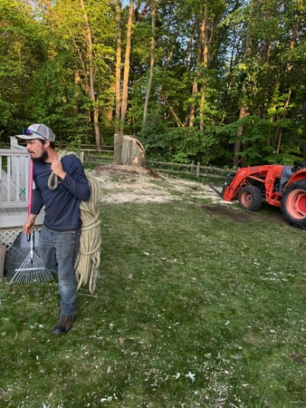 Images Rose Tree Service