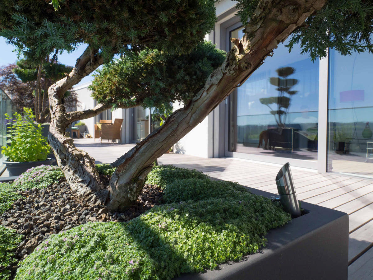 Silvedes AG, Bellevue in Brütten