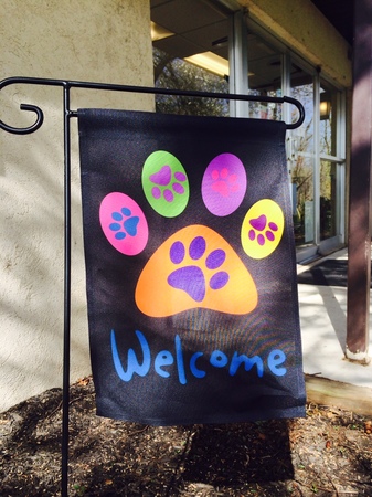 Images VCA Bridgeport Animal Hospital