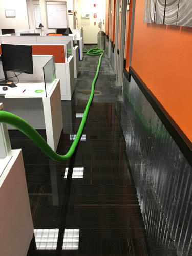 SERVPRO of Cape Coral is the premier choice to call after a water loss. Our team of IICRC certified technicians can handle any large or small loss in the Diplomat, FL area. If you have questions, we encourage you to contact us at anytime.