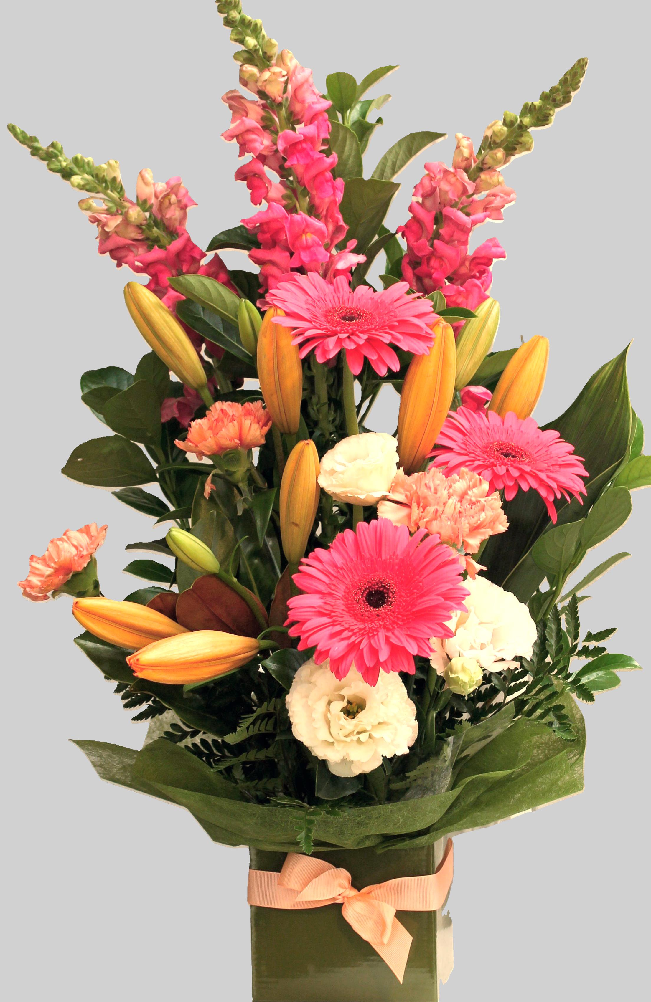 Images Blooms and Botanicals