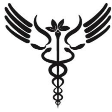 Chiropracteur Bordeaux Cauderan Thomas Robineau