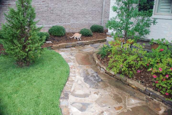 Images Buzz Landscaping