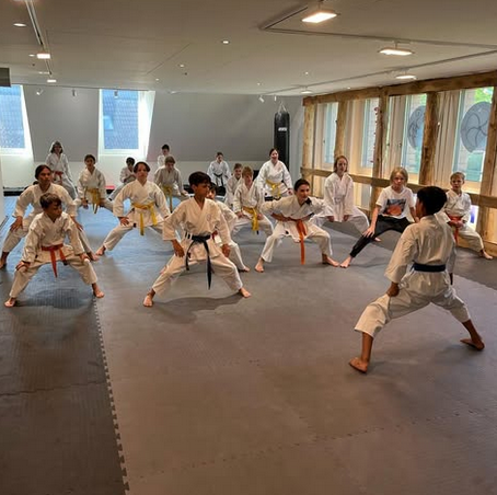 Bilder Krav Maga Illnau Effretikon/Karate-Do Basilisk