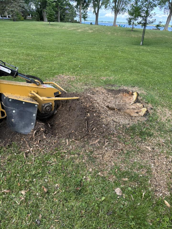 Images Arboriculture PH