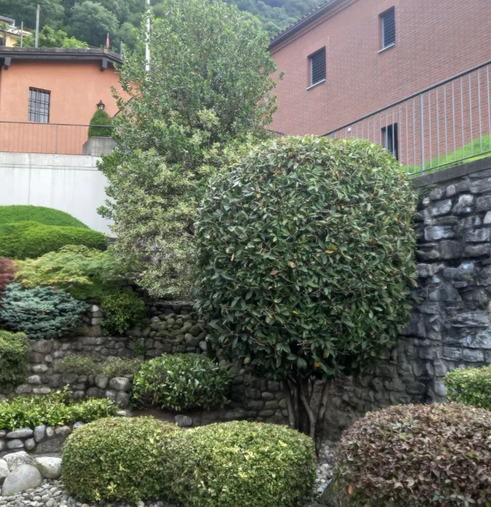 Bilder Vivai San Martino