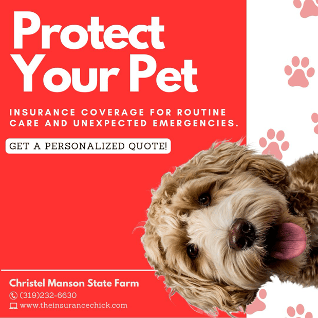 Images Christel Manson - State Farm Insurance Agent
