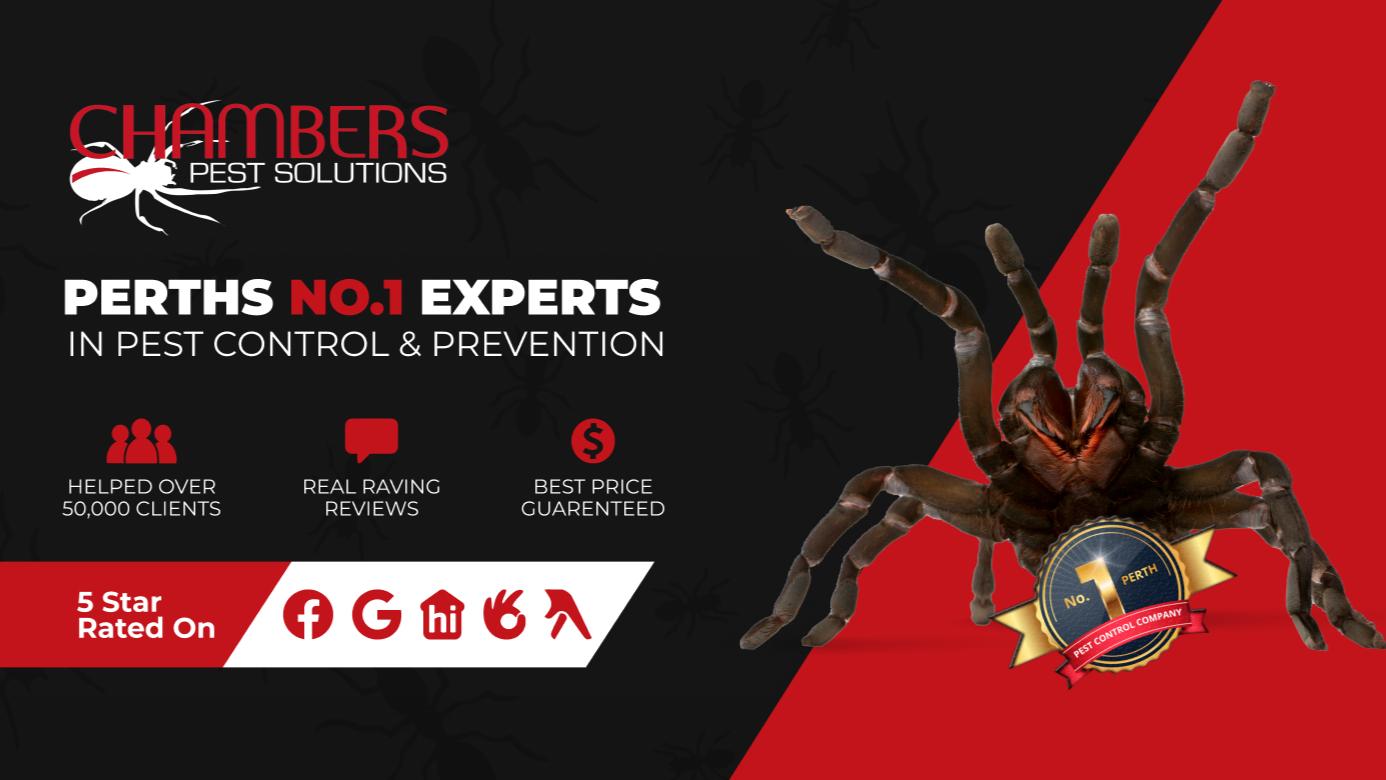 Images Chambers Pest Solutions