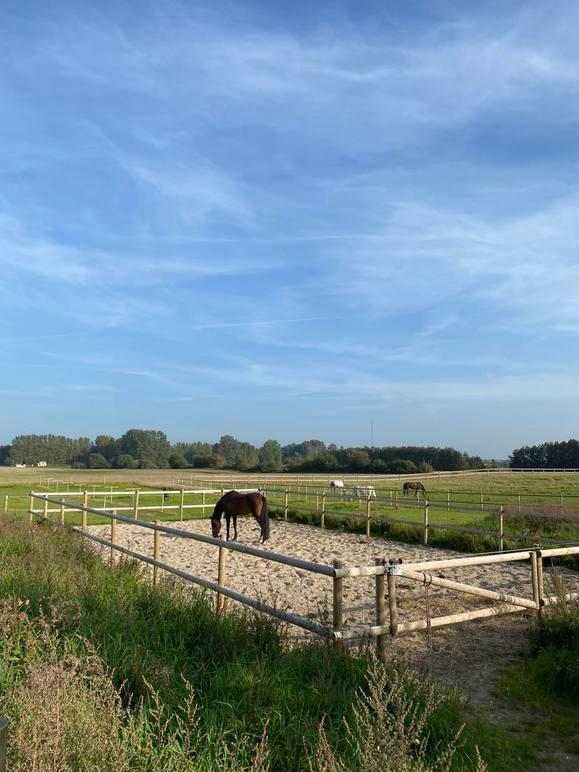 Images LM Horse Retreat ApS