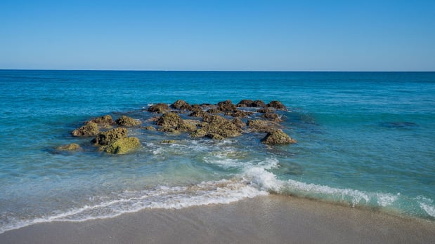 Images Holiday Inn & Suites Boca Raton - North by IHG