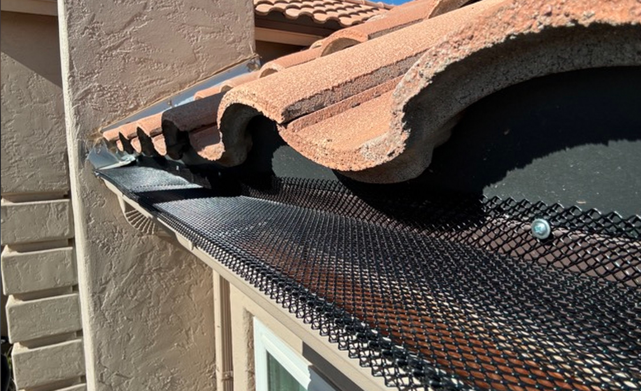 Darling Wildlife and Pest Control Services Image